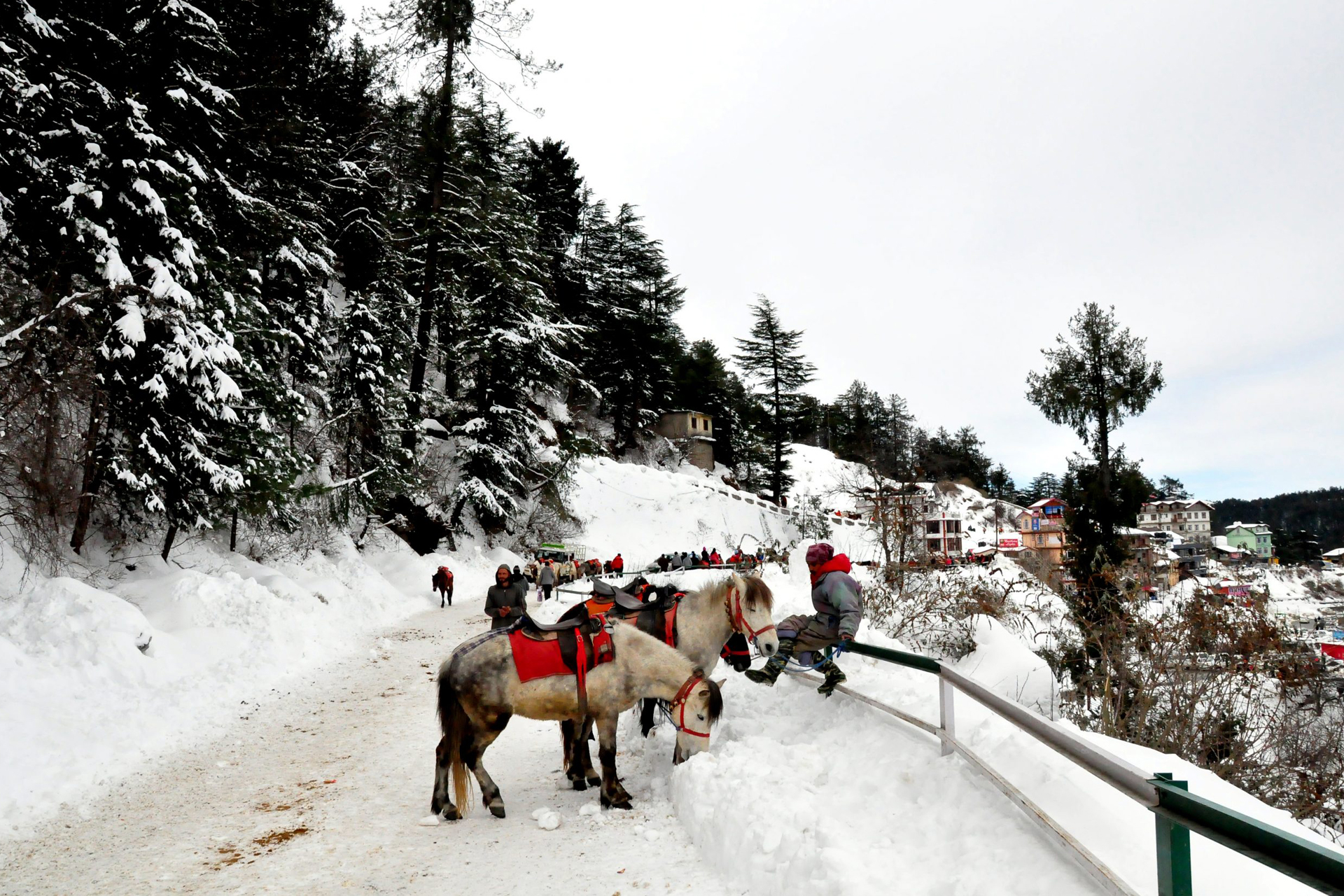 Hotel Rahat Regency Shimla